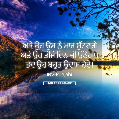 Picture 05 - ਮੱਤੀ 17:23 PANIRV - ਅਤੇ ਉਹ ਉਸ ਨੂੰ ਮਾਰ - Bible Verse Picture