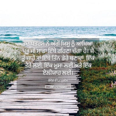 Picture 05 - ਮੱਤੀ 17:4 PANIRV - ਤਦ ਪਤਰਸ ਨੇ ਅੱਗੋਂ - Bible Verse Picture