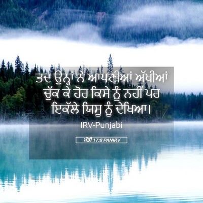 Picture 05 - ਮੱਤੀ 17:8 PANIRV - ਤਦ ਉਨ੍ਹਾਂ ਨੇ - Bible Verse Picture