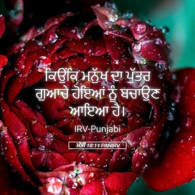 Picture 05 - ਮੱਤੀ 18:11 PANIRV - ਕਿਉਂਕਿ ਮਨੁੱਖ ਦਾ - Bible Verse Picture