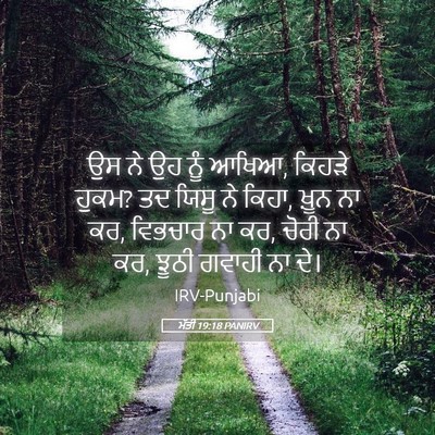Picture 05 - ਮੱਤੀ 19:18 PANIRV - ਉਸ ਨੇ ਉਹ ਨੂੰ ਆਖਿਆ, - Bible Verse Picture