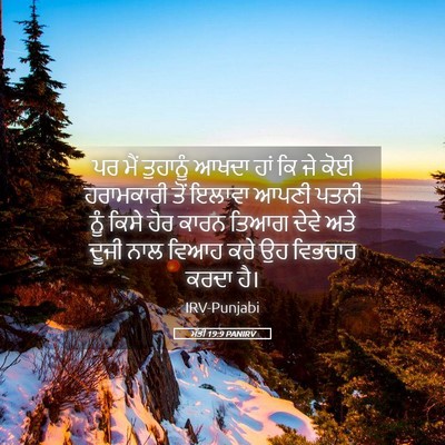 Picture 05 - ਮੱਤੀ 19:9 PANIRV - ਪਰ ਮੈਂ ਤੁਹਾਨੂੰ - Bible Verse Picture