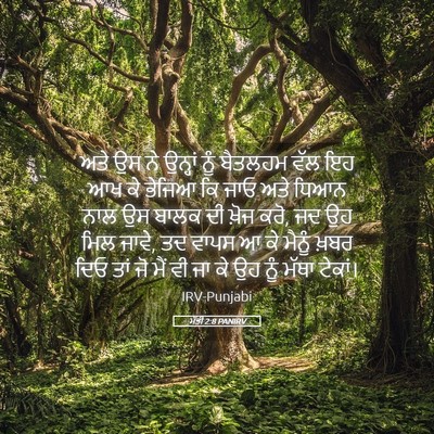 Picture 05 - ਮੱਤੀ 2:8 PANIRV - ਅਤੇ ਉਸ ਨੇ ਉਨ੍ਹਾਂ - Bible Verse Picture
