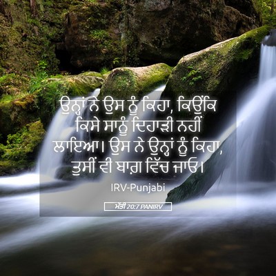 Picture 05 - ਮੱਤੀ 20:7 PANIRV - ਉਨ੍ਹਾਂ ਨੇ ਉਸ ਨੂੰ - Bible Verse Picture