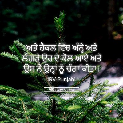 Picture 05 - ਮੱਤੀ 21:14 PANIRV - ਅਤੇ ਹੈਕਲ ਵਿੱਚ - Bible Verse Picture