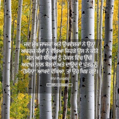 Picture 05 - ਮੱਤੀ 21:15 PANIRV - ਜਦ ਮੁੱਖ ਜਾਜਕਾਂ ਅਤੇ - Bible Verse Picture