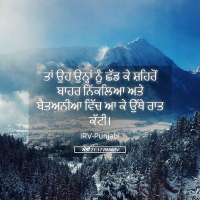 Picture 05 - ਮੱਤੀ 21:17 PANIRV - ਤਾਂ ਉਹ ਉਨ੍ਹਾਂ ਨੂੰ - Bible Verse Picture