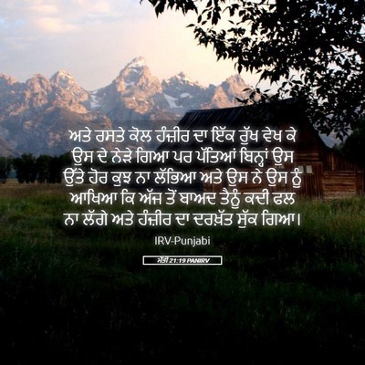 Picture 05 - ਮੱਤੀ 21:19 PANIRV - ਅਤੇ ਰਸਤੇ ਕੋਲ - Bible Verse Picture
