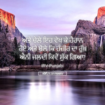 Picture 05 - ਮੱਤੀ 21:20 PANIRV - ਅਤੇ ਚੇਲੇ ਇਹ ਵੇਖ ਕੇ - Bible Verse Picture