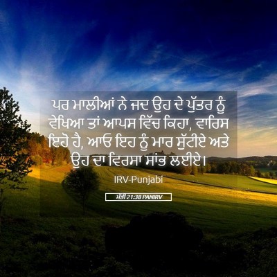 Picture 05 - ਮੱਤੀ 21:38 PANIRV - ਪਰ ਮਾਲੀਆਂ ਨੇ ਜਦ ਉਹ - Bible Verse Picture