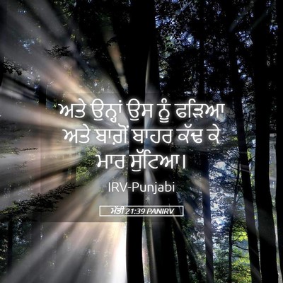 Picture 05 - ਮੱਤੀ 21:39 PANIRV - ਅਤੇ ਉਨ੍ਹਾਂ ਉਸ ਨੂੰ - Bible Verse Picture