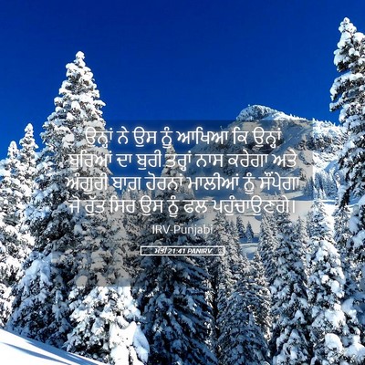 Picture 05 - ਮੱਤੀ 21:41 PANIRV - ਉਨ੍ਹਾਂ ਨੇ ਉਸ ਨੂੰ - Bible Verse Picture