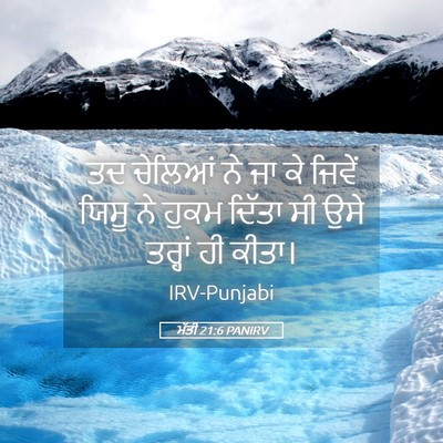 Picture 05 - ਮੱਤੀ 21:6 PANIRV - ਤਦ ਚੇਲਿਆਂ ਨੇ ਜਾ ਕੇ - Bible Verse Picture