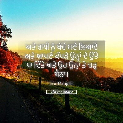 Picture 05 - ਮੱਤੀ 21:7 PANIRV - ਅਤੇ ਗਧੀ ਨੂੰ ਬੱਚੇ - Bible Verse Picture