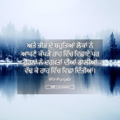 Picture 05 - ਮੱਤੀ 21:8 PANIRV - ਅਤੇ ਭੀੜ ਦੇ ਬਹੁਤਿਆਂ - Bible Verse Picture