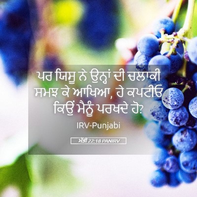 Picture 05 - ਮੱਤੀ 22:18 PANIRV - ਪਰ ਯਿਸੂ ਨੇ ਉਨ੍ਹਾਂ - Bible Verse Picture