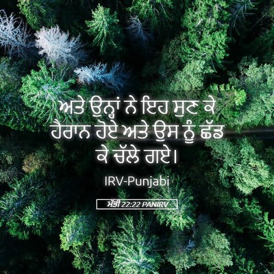 Picture 05 - ਮੱਤੀ 22:22 PANIRV - ਅਤੇ ਉਨ੍ਹਾਂ ਨੇ ਇਹ - Bible Verse Picture