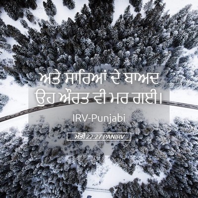 Picture 05 - ਮੱਤੀ 22:27 PANIRV - ਅਤੇ ਸਾਰਿਆਂ ਦੇ ਬਾਅਦ - Bible Verse Picture