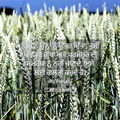 Picture 05 - ਮੱਤੀ 22:29 PANIRV - ਯਿਸੂ ਨੇ ਉਨ੍ਹਾਂ ਨੂੰ - Bible Verse Picture