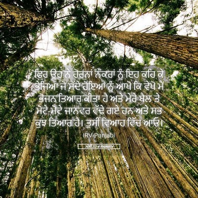 Picture 05 - ਮੱਤੀ 22:4 PANIRV - ਫਿਰ ਉਹ ਨੇ ਹੋਰਨਾਂ - Bible Verse Picture