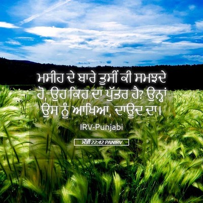 Picture 05 - ਮੱਤੀ 22:42 PANIRV - ਮਸੀਹ ਦੇ ਬਾਰੇ ਤੁਸੀਂ - Bible Verse Picture