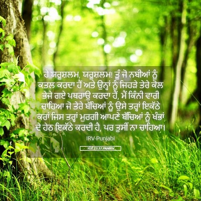 Picture 05 - ਮੱਤੀ 23:37 PANIRV - ਹੇ ਯਰੂਸ਼ਲਮ, - Bible Verse Picture