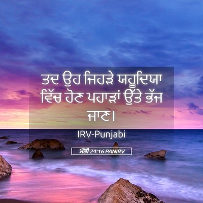 Picture 05 - ਮੱਤੀ 24:16 PANIRV - ਤਦ ਉਹ ਜਿਹੜੇ - Bible Verse Picture