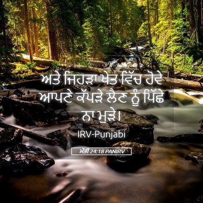 Picture 05 - ਮੱਤੀ 24:18 PANIRV - ਅਤੇ ਜਿਹੜਾ ਖੇਤ ਵਿੱਚ - Bible Verse Picture
