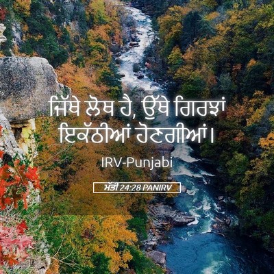 Picture 05 - ਮੱਤੀ 24:28 PANIRV - ਜਿੱਥੇ ਲੋਥ ਹੈ, ਉੱਥੇ - Bible Verse Picture