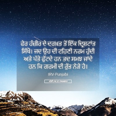 Picture 05 - ਮੱਤੀ 24:32 PANIRV - ਫੇਰ ਹੰਜ਼ੀਰ ਦੇ - Bible Verse Picture