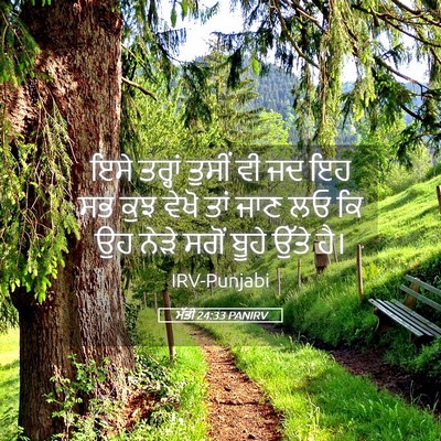 Picture 05 - ਮੱਤੀ 24:33 PANIRV - ਇਸੇ ਤਰ੍ਹਾਂ ਤੁਸੀਂ - Bible Verse Picture