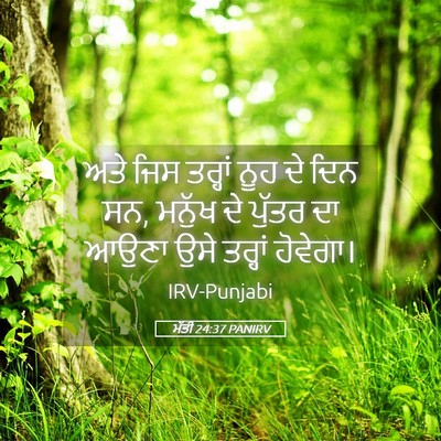 Picture 05 - ਮੱਤੀ 24:37 PANIRV - ਅਤੇ ਜਿਸ ਤਰ੍ਹਾਂ ਨੂਹ - Bible Verse Picture