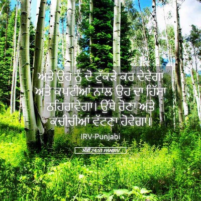 Picture 05 - ਮੱਤੀ 24:51 PANIRV - ਅਤੇ ਉਹ ਨੂੰ ਦੋ - Bible Verse Picture