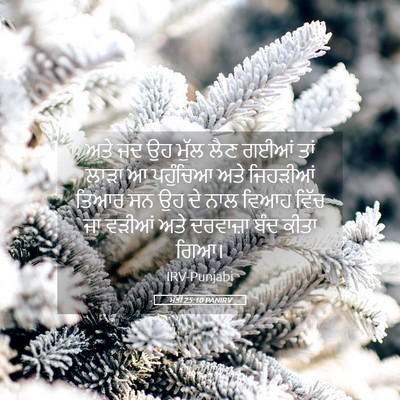 Picture 05 - ਮੱਤੀ 25:10 PANIRV - ਅਤੇ ਜਦ ਉਹ ਮੁੱਲ ਲੈਣ - Bible Verse Picture