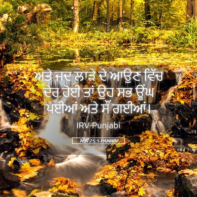 Picture 05 - ਮੱਤੀ 25:5 PANIRV - ਅਤੇ ਜਦ ਲਾੜੇ ਦੇ ਆਉਣ - Bible Verse Picture