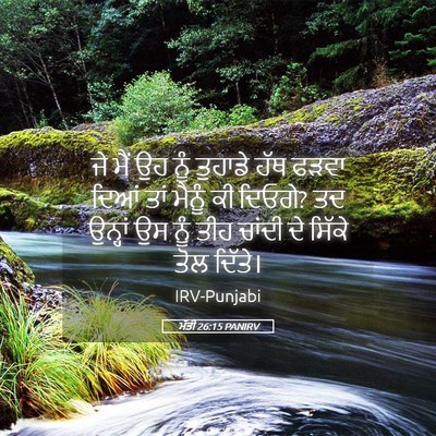 Picture 05 - ਮੱਤੀ 26:15 PANIRV - ਜੇ ਮੈਂ ਉਹ ਨੂੰ - Bible Verse Picture