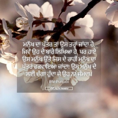 Picture 05 - ਮੱਤੀ 26:24 PANIRV - ਮਨੁੱਖ ਦਾ ਪੁੱਤਰ ਤਾਂ - Bible Verse Picture