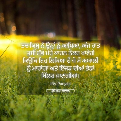 Picture 05 - ਮੱਤੀ 26:31 PANIRV - ਤਦ ਯਿਸੂ ਨੇ ਉਨ੍ਹਾਂ - Bible Verse Picture