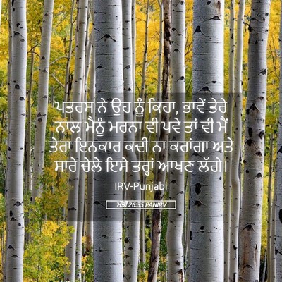 Picture 05 - ਮੱਤੀ 26:35 PANIRV - ਪਤਰਸ ਨੇ ਉਹ ਨੂੰ - Bible Verse Picture