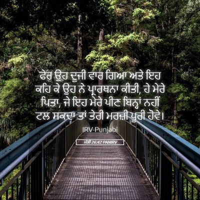Picture 05 - ਮੱਤੀ 26:42 PANIRV - ਫੇਰ ਉਹ ਦੂਜੀ ਵਾਰ ਗਿਆ - Bible Verse Picture