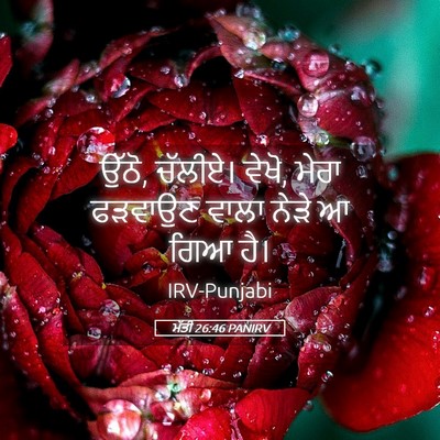 Picture 05 - ਮੱਤੀ 26:46 PANIRV - ਉੱਠੋ, ਚੱਲੀਏ। ਵੇਖੋ, - Bible Verse Picture