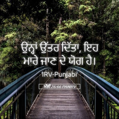 Picture 05 - ਮੱਤੀ 26:66 PANIRV - ਉਨ੍ਹਾਂ ਉੱਤਰ ਦਿੱਤਾ, - Bible Verse Picture