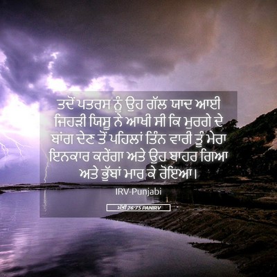 Picture 05 - ਮੱਤੀ 26:75 PANIRV - ਤਦੋਂ ਪਤਰਸ ਨੂੰ ਉਹ - Bible Verse Picture