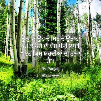Picture 05 - ਮੱਤੀ 27:37 PANIRV - ਉਨ੍ਹਾਂ ਨੇ ਉਹ ਦੇ ਸਿਰ - Bible Verse Picture