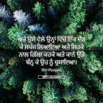Picture 05 - ਮੱਤੀ 27:48 PANIRV - ਅਤੇ ਉਸੇ ਵੇਲੇ - Bible Verse Picture
