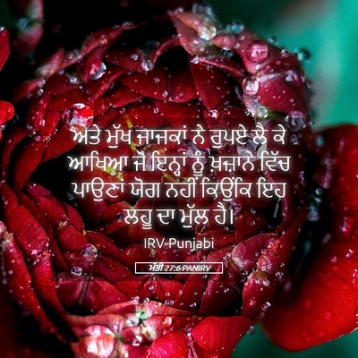 Picture 05 - ਮੱਤੀ 27:6 PANIRV - ਅਤੇ ਮੁੱਖ ਜਾਜਕਾਂ ਨੇ - Bible Verse Picture