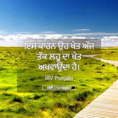 Picture 05 - ਮੱਤੀ 27:8 PANIRV - ਇਸ ਕਾਰਨ ਉਹ ਖੇਤ ਅੱਜ - Bible Verse Picture
