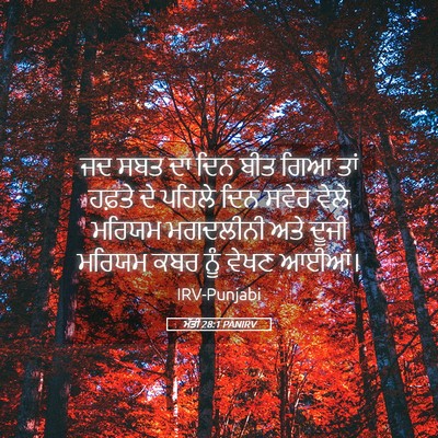 Picture 05 - ਮੱਤੀ 28:1 PANIRV - ਜਦ ਸਬਤ ਦਾ ਦਿਨ ਬੀਤ - Bible Verse Picture