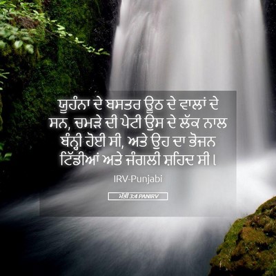 Picture 05 - ਮੱਤੀ 3:4 PANIRV - ਯੂਹੰਨਾ ਦੇ ਬਸਤਰ ਊਠ - Bible Verse Picture