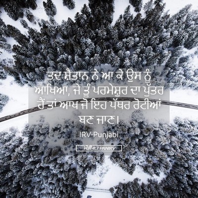 Picture 05 - ਮੱਤੀ 4:3 PANIRV - ਤਦ ਸ਼ੈਤਾਨ ਨੇ ਆ ਕੇ - Bible Verse Picture